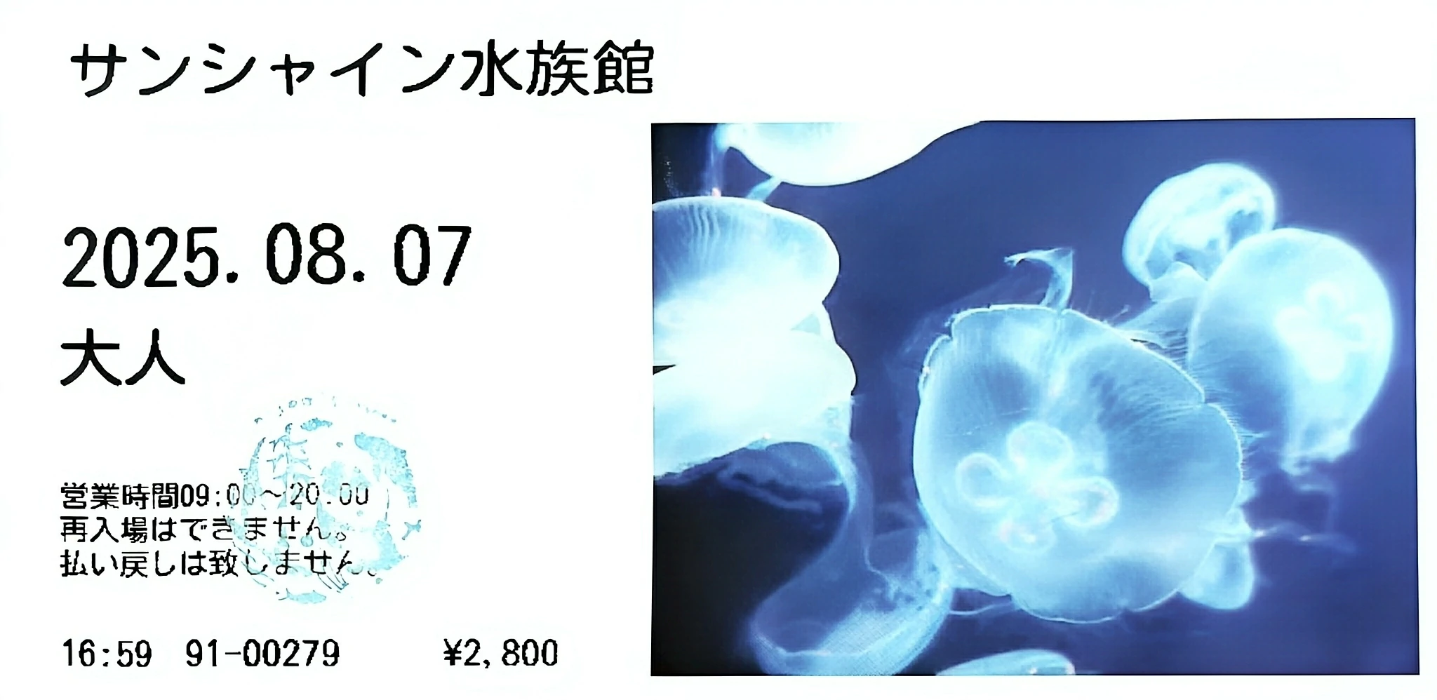 阳光水族馆